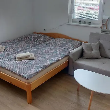 Synka Apartament Tierchowa