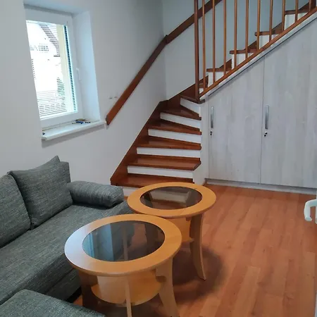 Synka Apartament Tierchowa