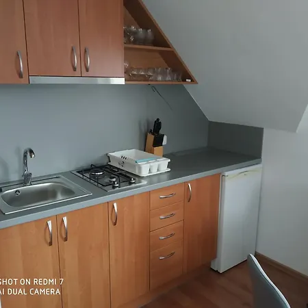 Apartament Synka Tierchowa